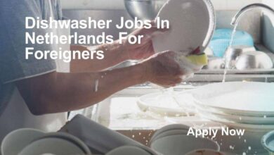 Dishwasher Jobs In Netherlands For Foreigners