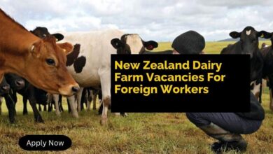 New Zealand Dairy Farm Vacancies For Foreign Workers