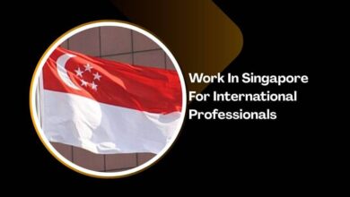 Work In Singapore For International Professionals