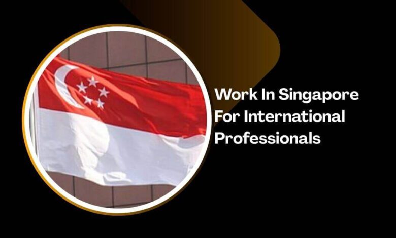 Work In Singapore For International Professionals