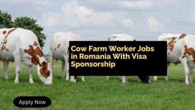 Cow Farm Worker Jobs in Romania With Visa Sponsorship