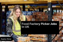 Food Factory Picker Jobs in UK