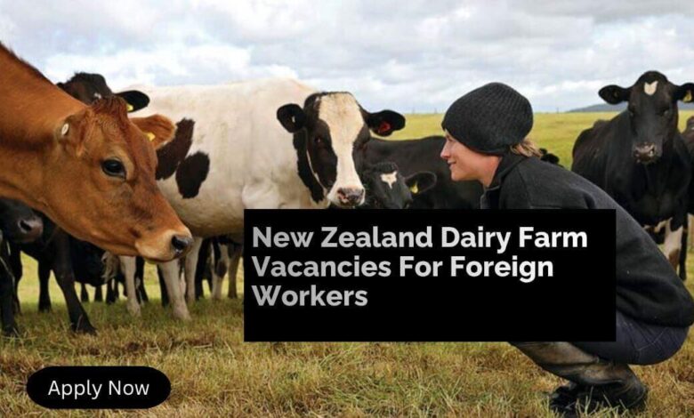 New Zealand Dairy Farm Vacancies For Foreign Workers