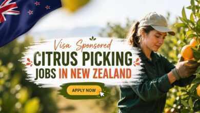 Visa Sponsored Citrus Picking Jobs in New Zealand