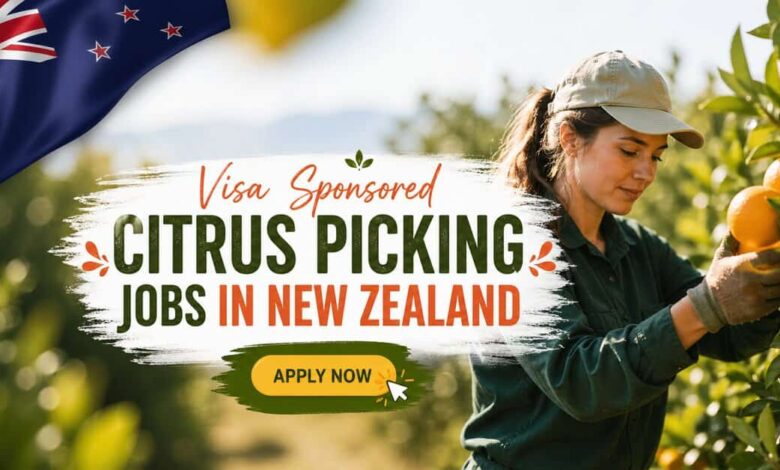 Visa Sponsored Citrus Picking Jobs in New Zealand