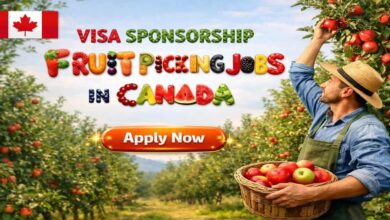 Visa Sponsorship Fruit Picking Jobs in Canada