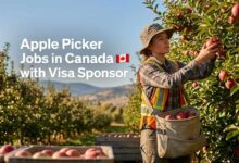 Apple Picker Jobs in Canada with Visa Sponsor