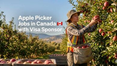 Apple Picker Jobs in Canada with Visa Sponsor