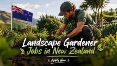 Landscape Gardener Jobs in New Zealand