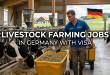 Livestock Farming Jobs in Germany with Visa