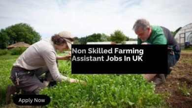 Non Skilled Farming Assistant Jobs In UK