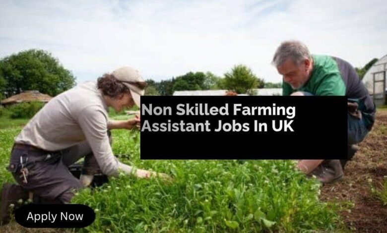 Non Skilled Farming Assistant Jobs In UK