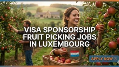 Visa Sponsorship Fruit Picking Jobs in Luxembourg