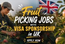 Fruit Picking Jobs with Visa Sponsorship in UK