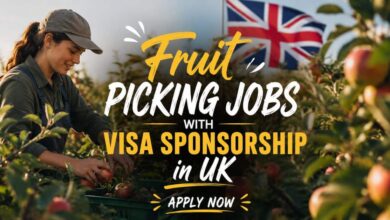 Fruit Picking Jobs with Visa Sponsorship in UK